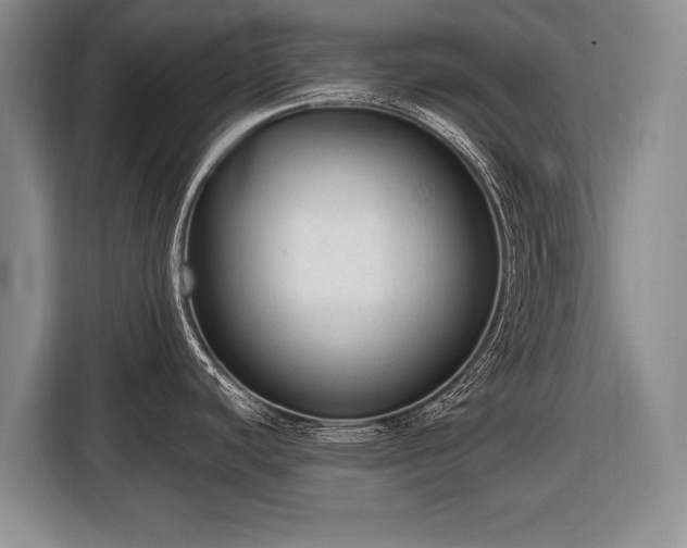 X0000116631440200912181316