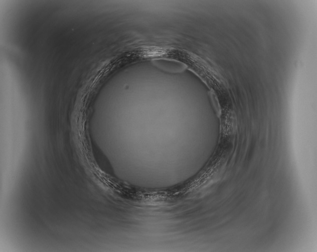 X0000116631441200912181315