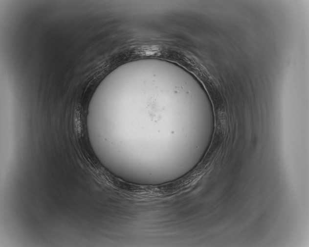 X0000116631442200912181315