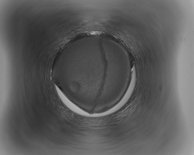 X0000116631443200912181315