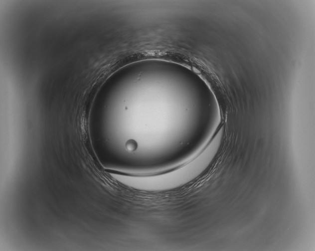 X0000116631444200912181315