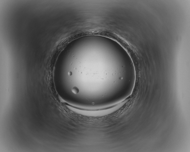 X0000116631447200912181315