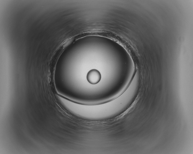 X0000116631449200912181315