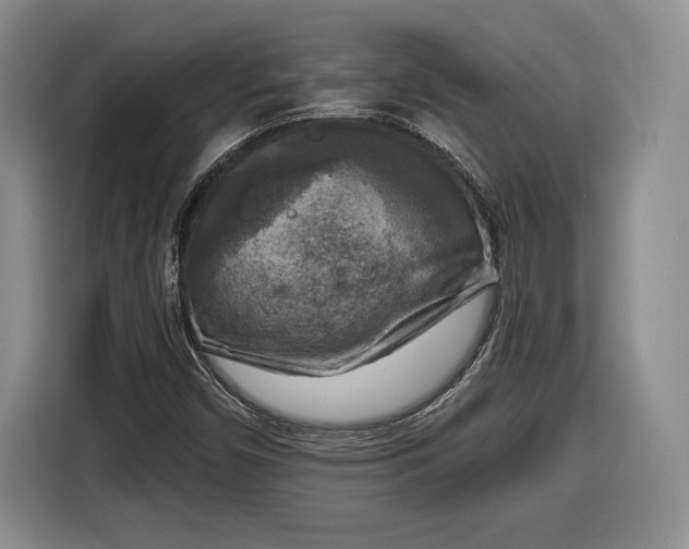 X0000116631450200912181315