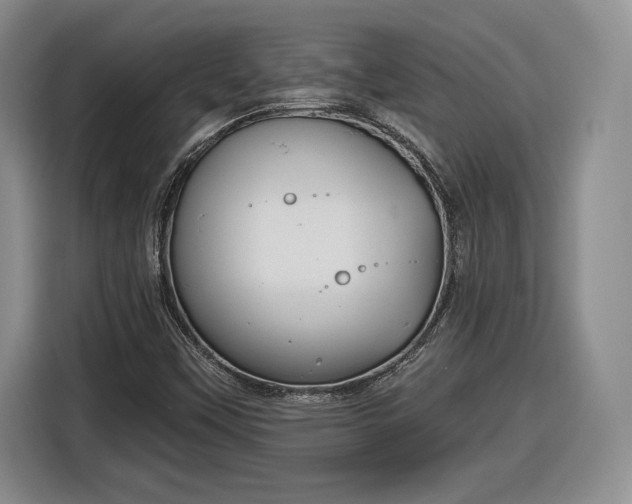 X0000116631451200912181315