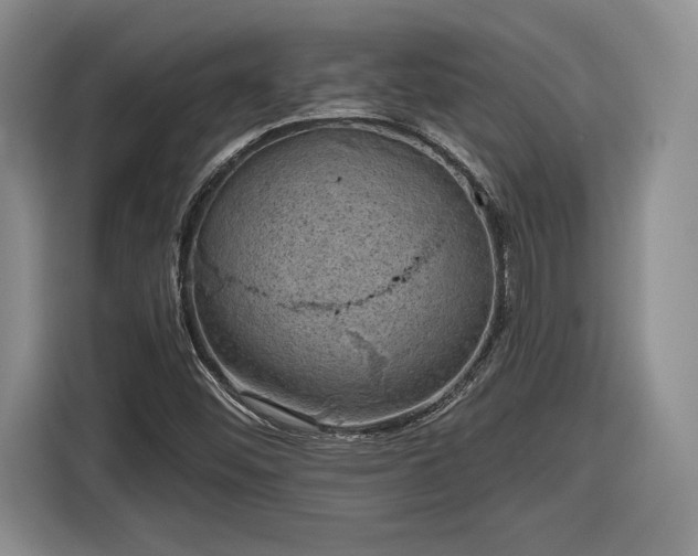 X0000116631452200912181315