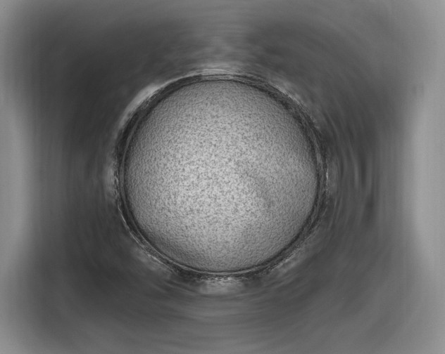 X0000116631454200912181315