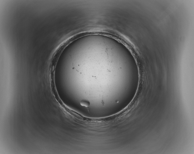 X0000116631456200912181315