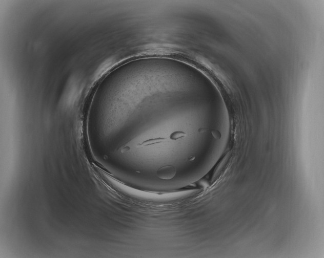 X0000116631459200912181315