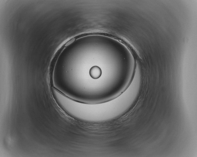 X0000116631460200912181315