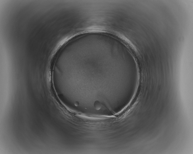 X0000116631461200912181315