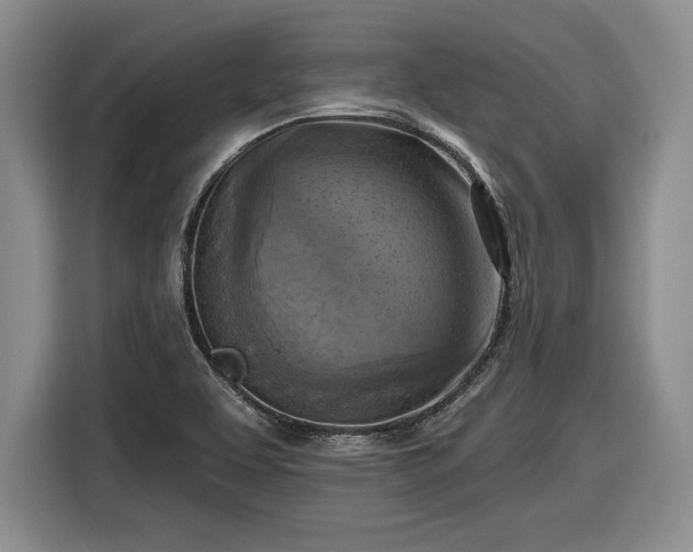 X0000116631463200912181315