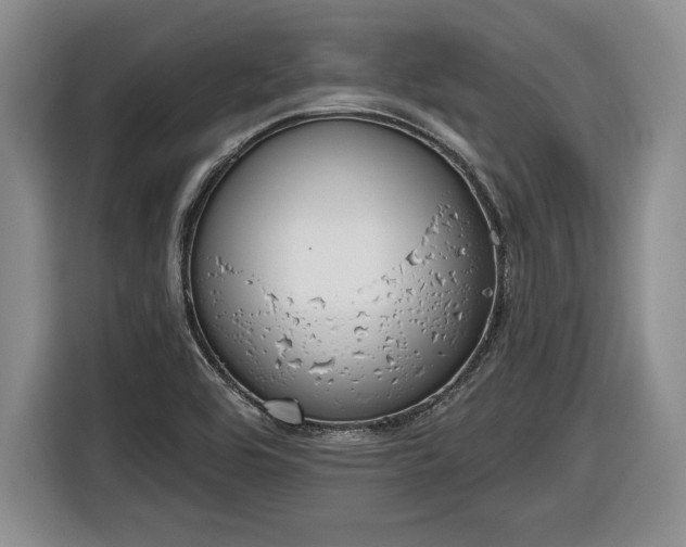 X0000116631464200912181315