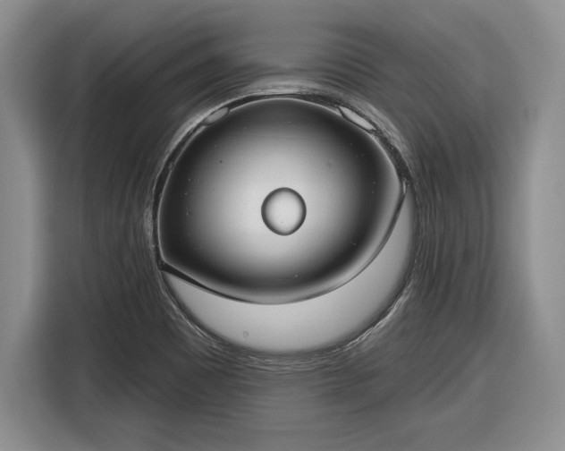 X0000116631465200912181315