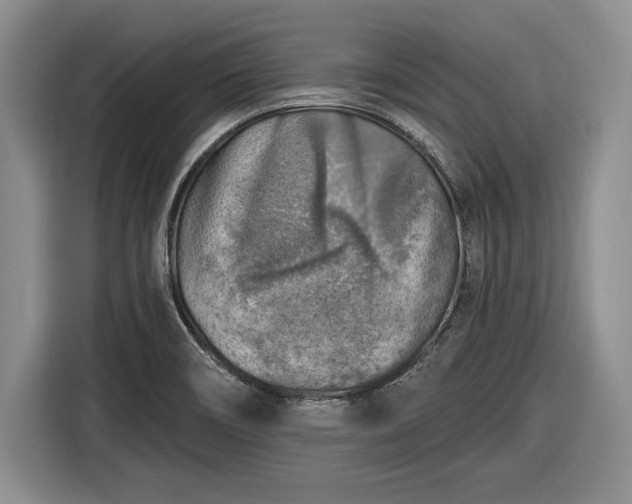 X0000116631466200912181315