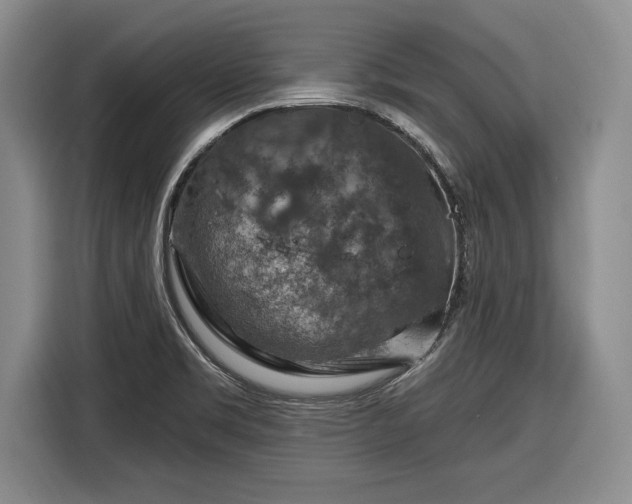 X0000116631469200912181315