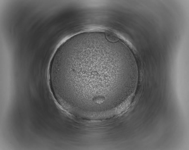 X0000116631471200912181315