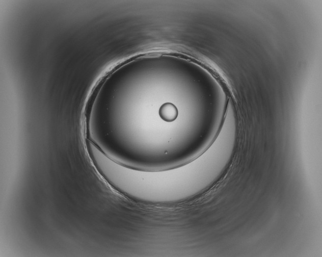 X0000116631472200912181315