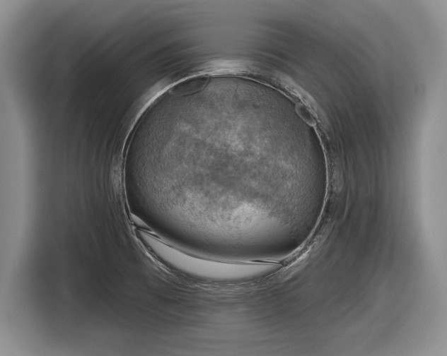 X0000116631473200912181315