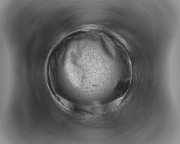 X0000116631475200912181315