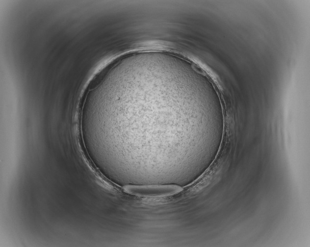 X0000116631477200912181315