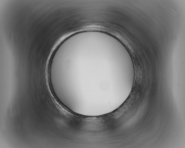 X0000116631478200912181315