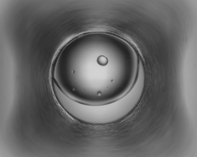 X0000116631480200912181315