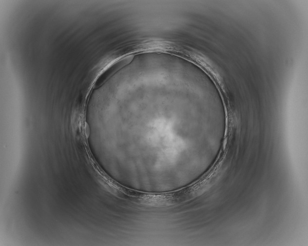 X0000116631481200912181315