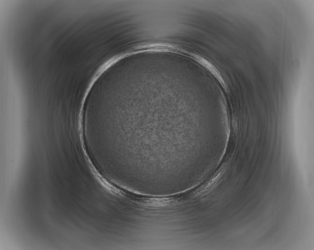 X0000116631482200912181315