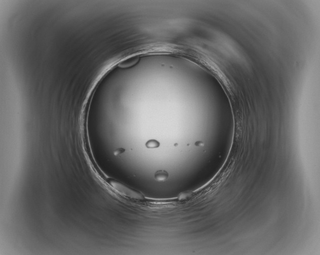 X0000116631483200912181315