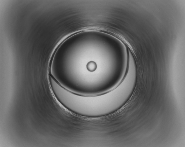 X0000116631484200912181315