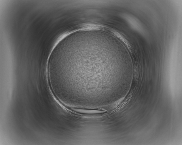 X0000116631487200912181315