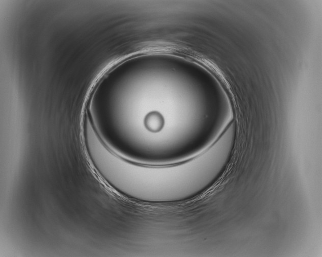 X0000116631488200912181315