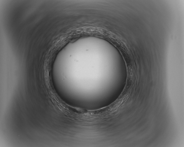 X0000116631489200912181314