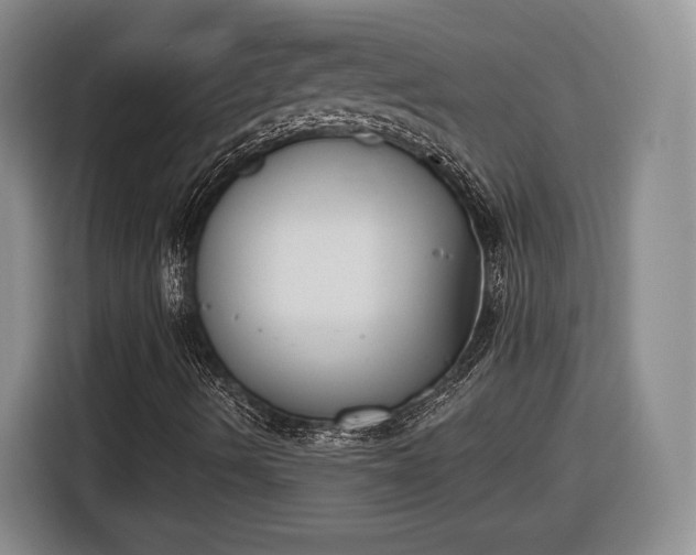 X0000116631490200912181314