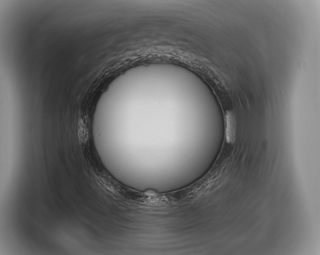 X0000116631491200912181314