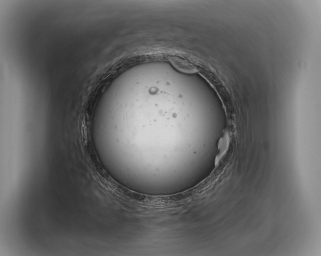 X0000116631493200912181314