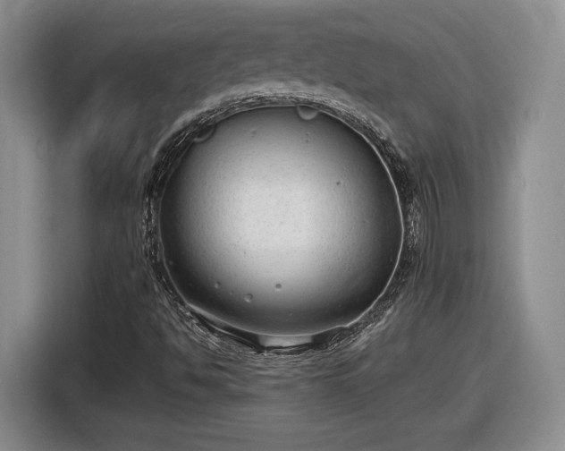 X0000116631494200912181314