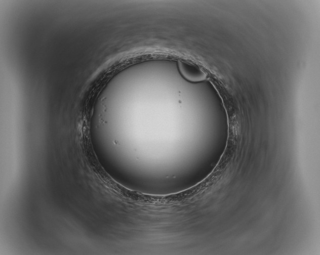 X0000116631495200912181314