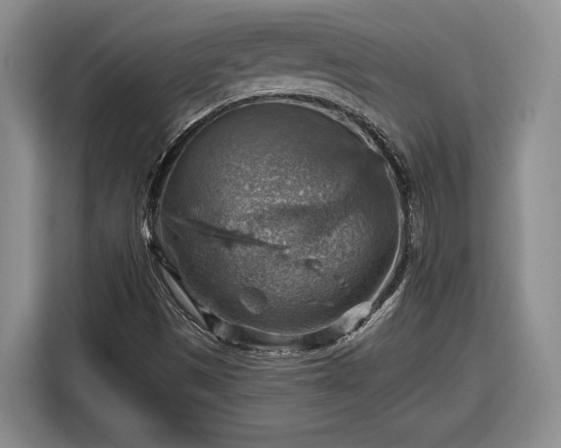 X0000116631497200912181314