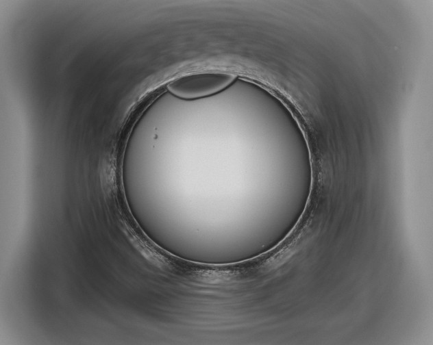 X0000116631499200912181314