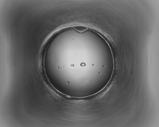 X0000116631502200912181314