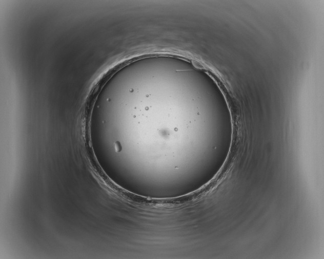 X0000116631503200912181314