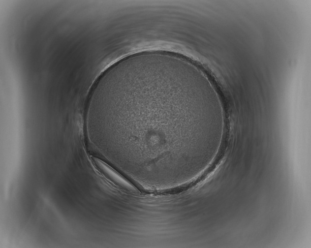 X0000116631505200912181314