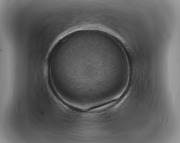 X0000116631506200912181314