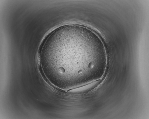 X0000116631509200912181314