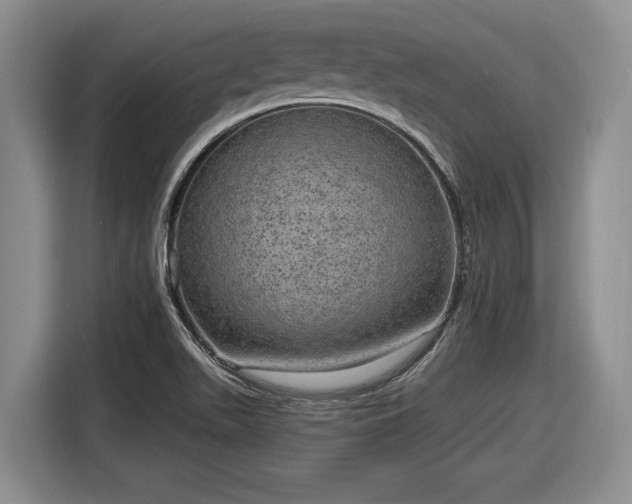 X0000116631511200912181314