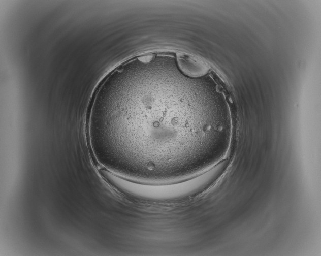 X0000116631513200912181314