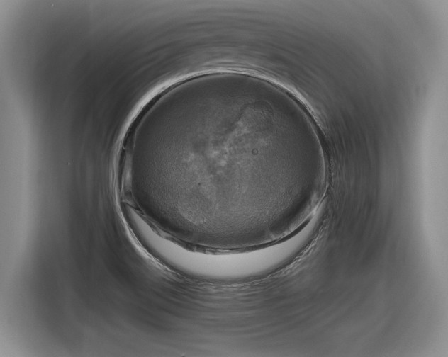 X0000116631515200912181314