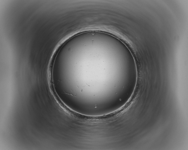 X0000116631517200912181314